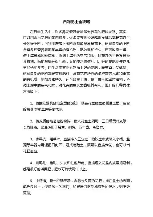 自制肥土全攻略