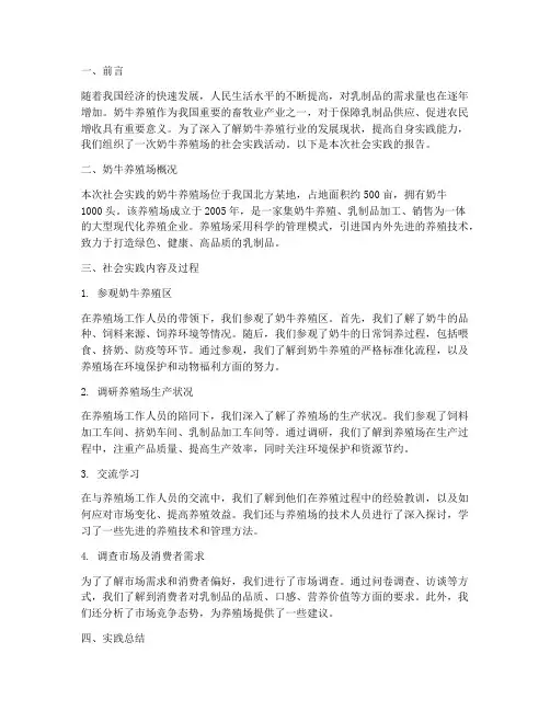 奶牛养殖场社会实践报告