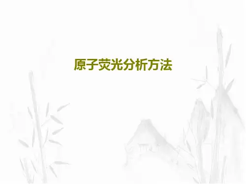 原子荧光分析方法PPT75页