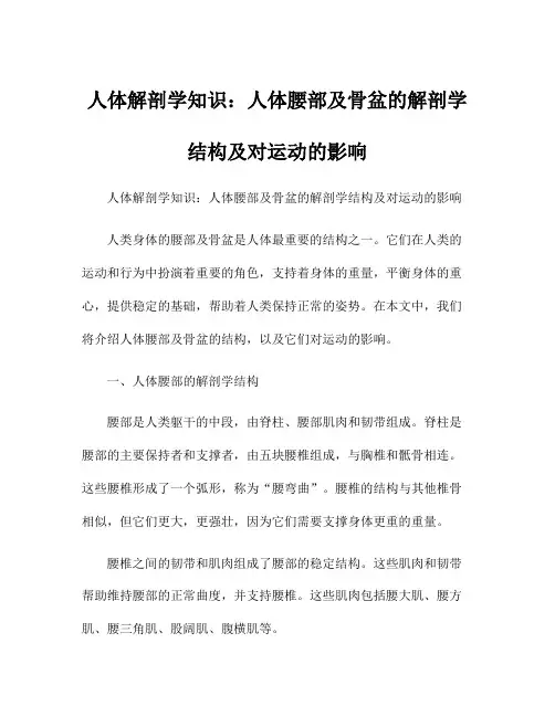 人体解剖学知识：人体腰部及骨盆的解剖学结构及对运动的影响