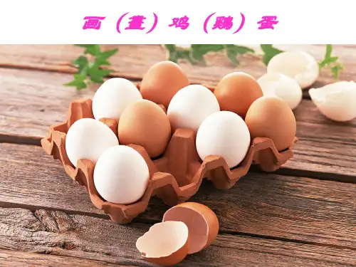 教科版语文二年级语文下册优质课件：画鸡蛋4【精选】