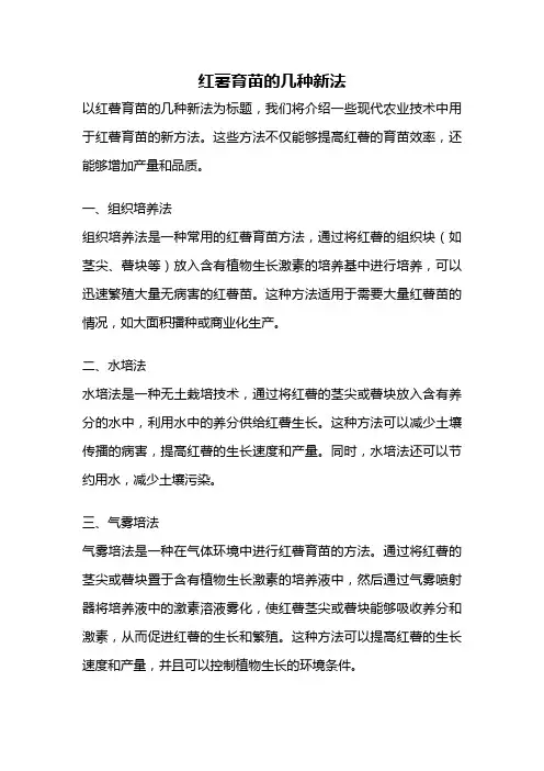 红薯育苗的几种新法