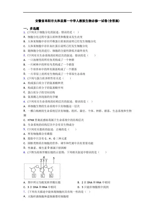 安徽省阜阳市太和县第一中学人教版生物必修一试卷(含答案)