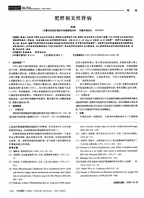 肥胖相关性肾病