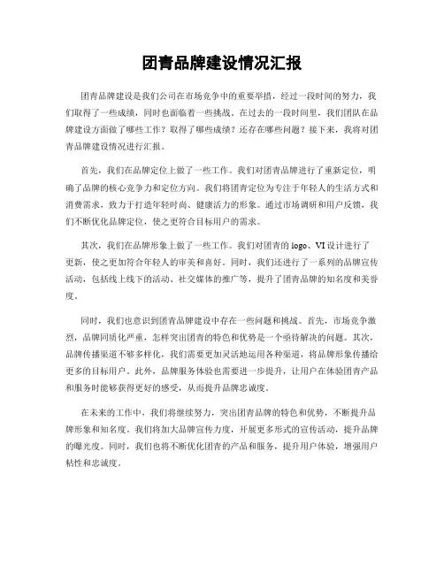 团青品牌建设情况汇报