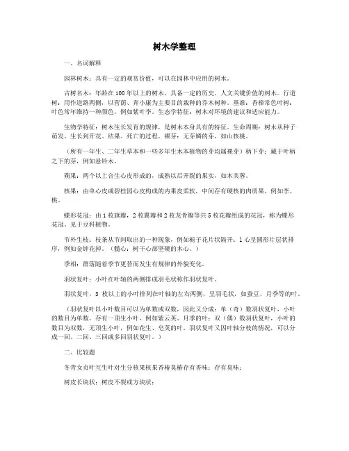 树木学整理