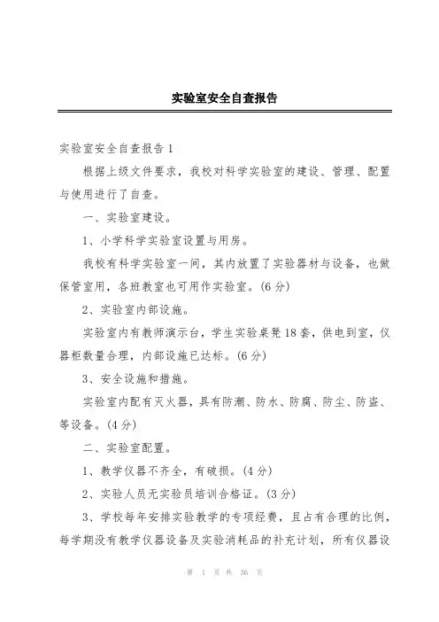 实验室安全自查报告