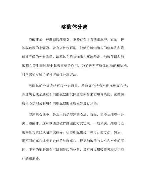 溶酶体分离