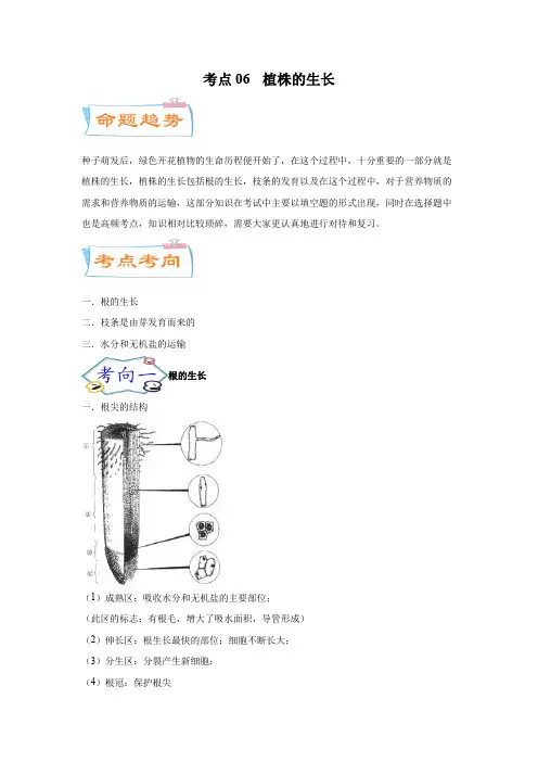 生物中考一轮复习考点06 植株的生长(考点)