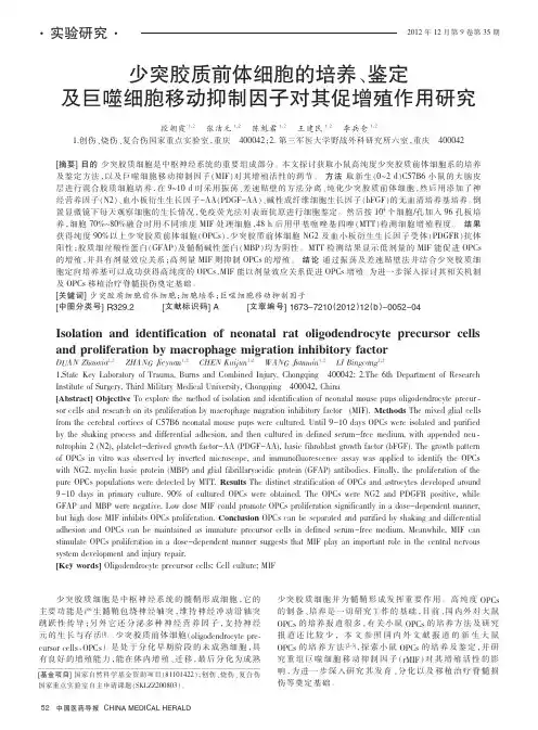 少突胶质前体细胞的培养、鉴定及巨噬细胞移动抑制因子对其促增殖作用