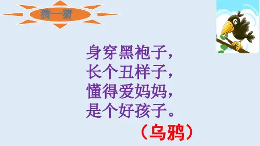 13.乌鸦喝水PPt优秀课件