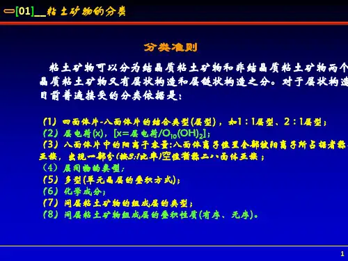 粘土矿物2