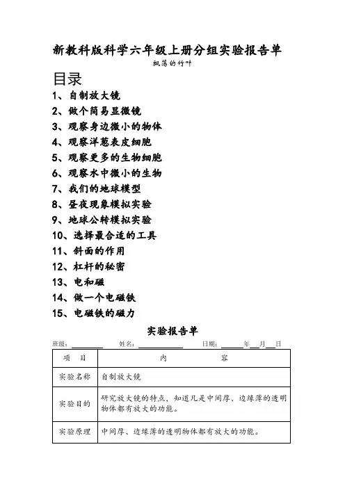 分组实验报告单教科版科学六年级上册