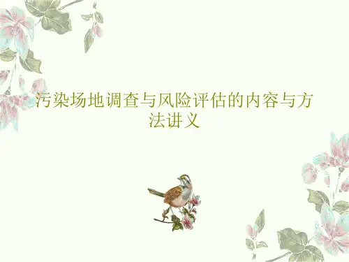 污染场地调查与风险评估的内容与方法讲义共43页