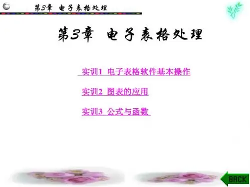 第3章电子表格处理