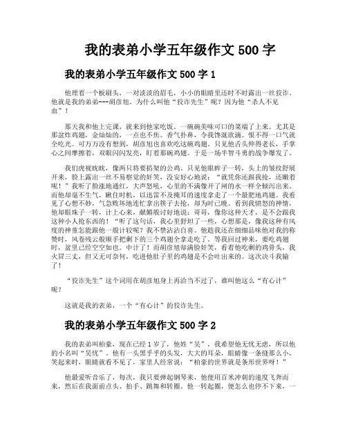我的表弟小学五年级作文500字