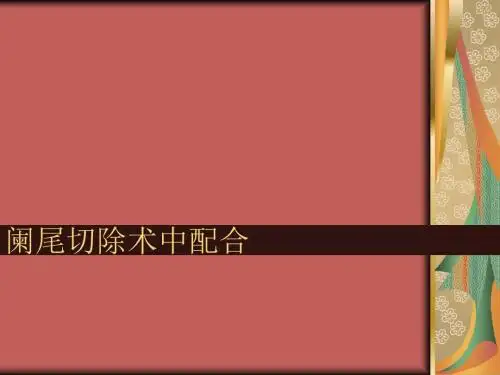 阑尾切除术中配合PPT课件