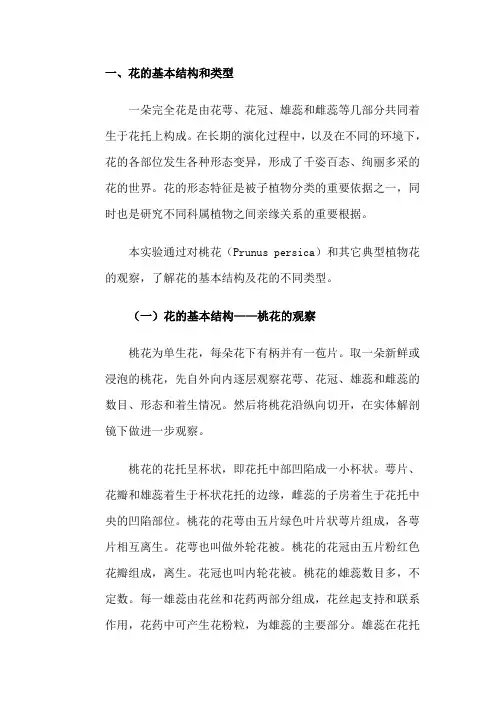 花的解剖结构