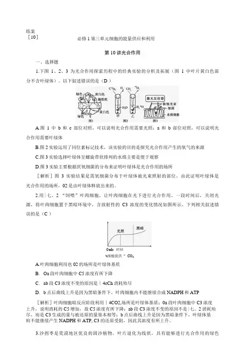 2023届一轮复习人教版光合作用作业