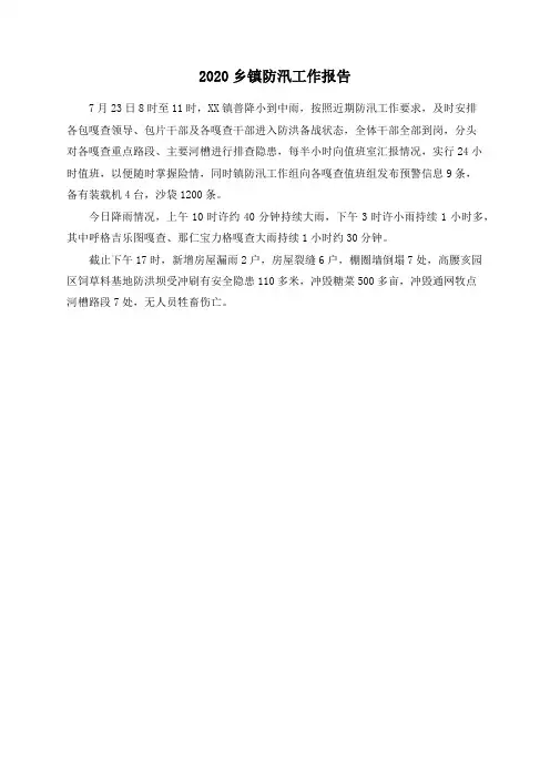 2020乡镇防汛工作报告