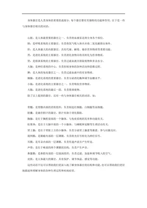 关于身体器官的词语