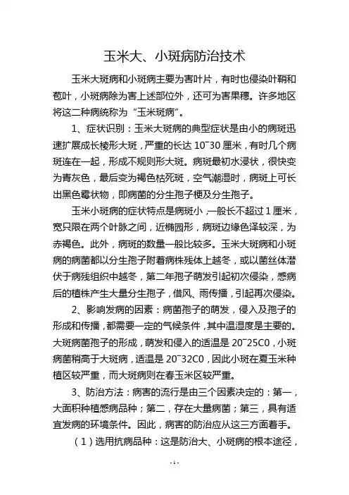 玉米大、小斑病防治技术
