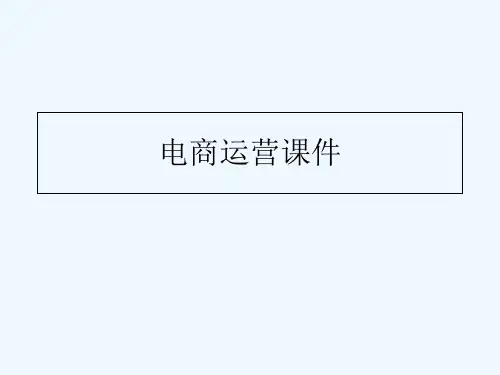 电商运营课件1流量 PPT