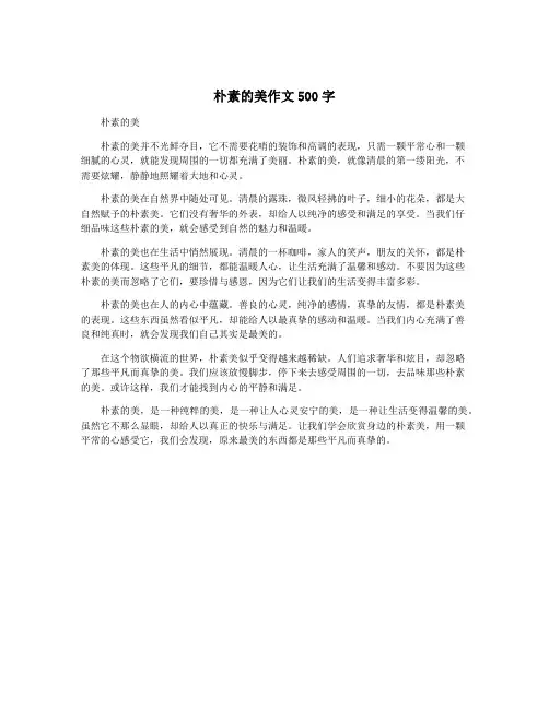 朴素的美作文500字