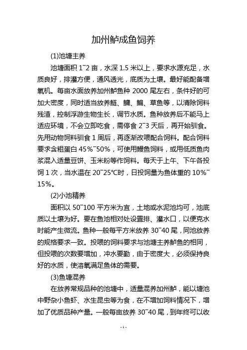 加州鲈成鱼饲养