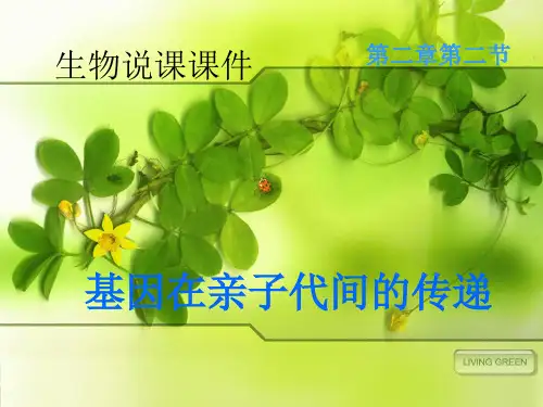 初中生物  基因在亲子代间的传递11(说课) 人教版精品课件