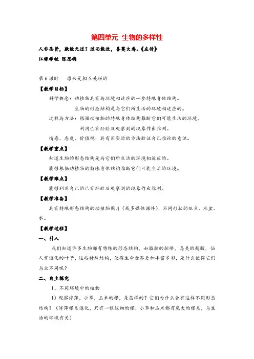 教科版六年级科学上册第6课时   原来是相互关联的教案与反思