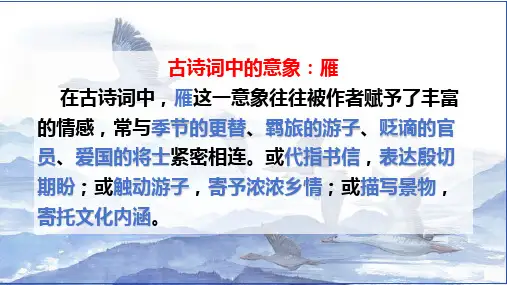 《大雁归来》ppt课件