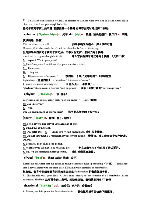 生活大爆炸第一季第一集字幕整理