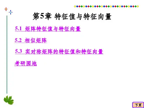 第5章  特征值与特征向量ppt课件