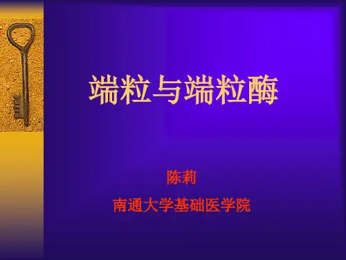 端粒与端粒酶
