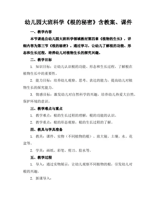 幼儿园大班科学《根的秘密》含教案、课件