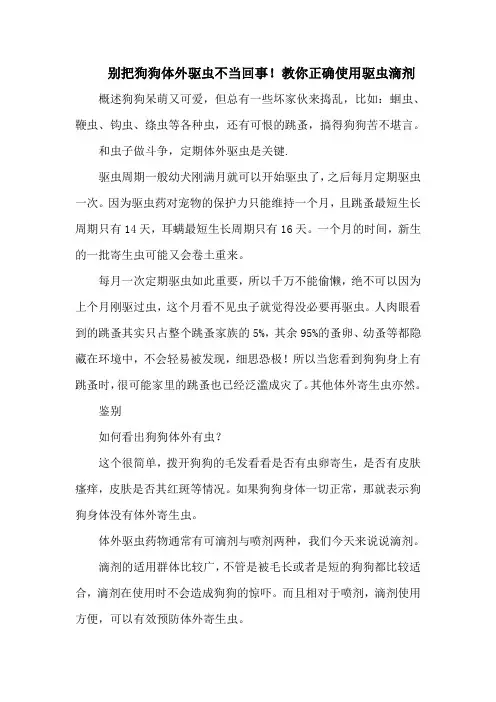 别把狗狗体外驱虫不当回事!教你正确使用驱虫滴剂