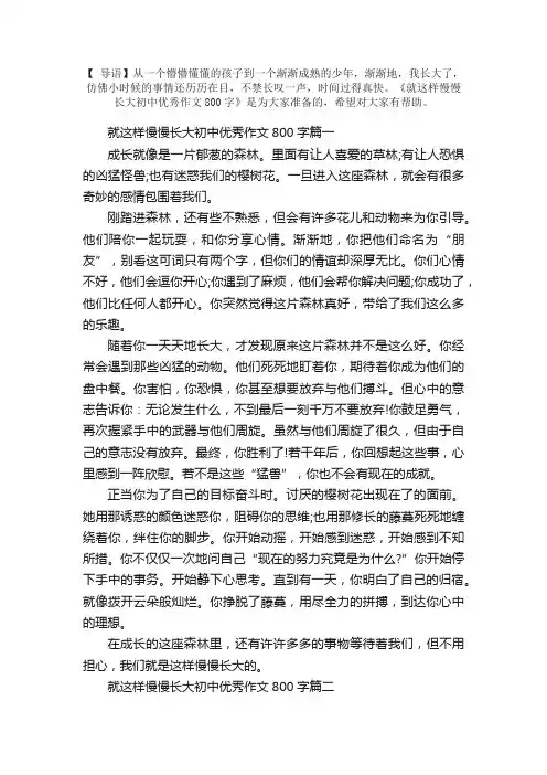 就这样慢慢长大初中优秀作文800字