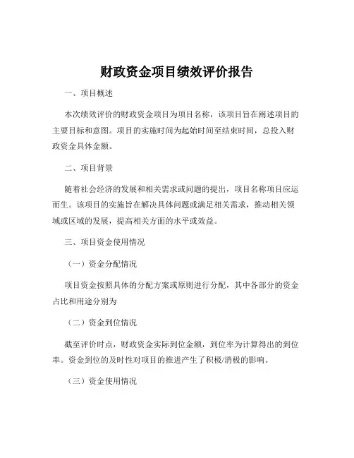 财政资金项目绩效评价报告
