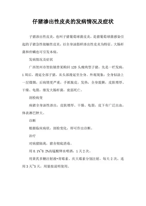 仔猪渗出性皮炎发病情况及症状