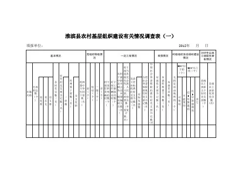 农村基层组织建设统计表