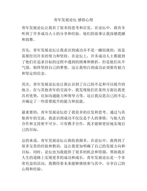 青年发展论坛 感悟心得