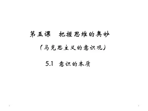 高中政治人教版必修四 5.1意识的本质(共28张PPT)
