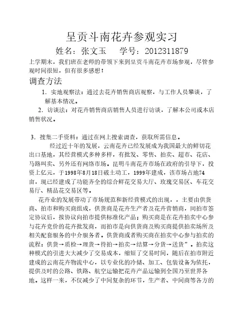 斗南花市场学习心得