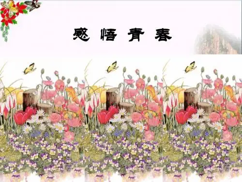 〔人教版〕感悟青春 教学PPT课件6