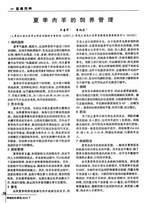 夏季肉羊的饲养管理