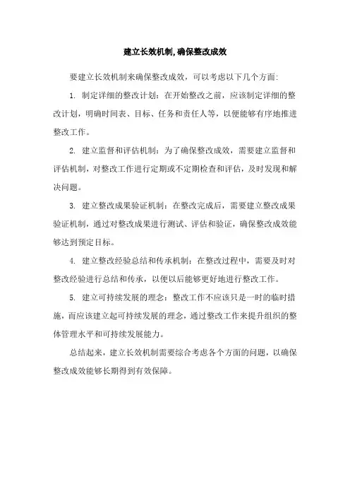 建立长效机制,确保整改成效