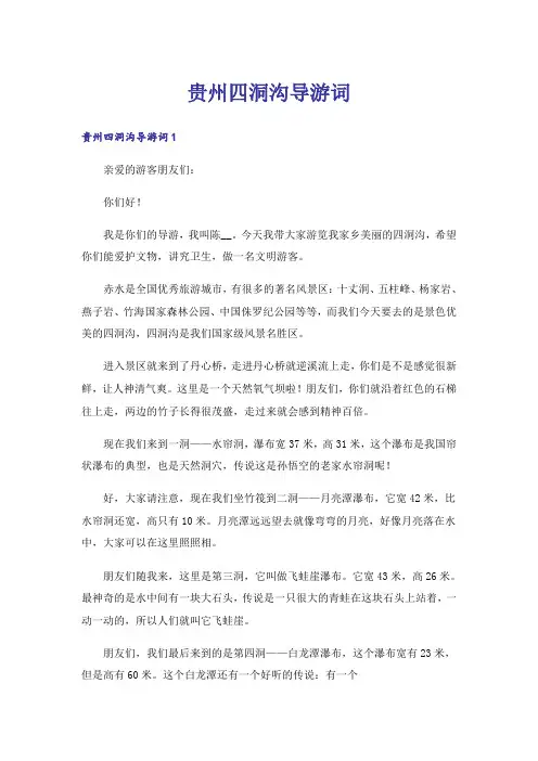贵州四洞沟导游词_1