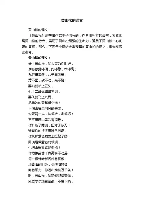 黄山松的课文