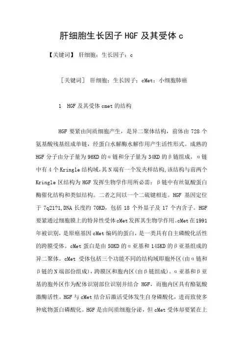 肝细胞生长因子HGF及其受体c